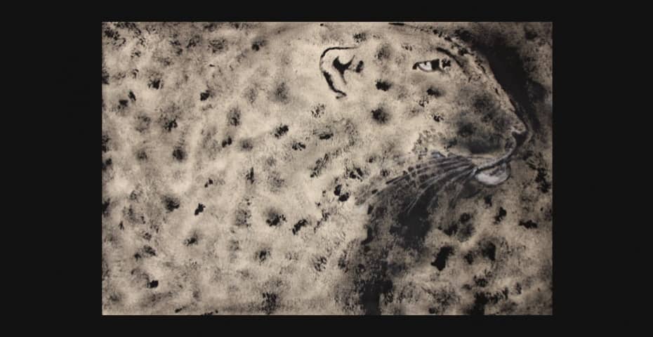 animal bts design graphique cifacom animal bts design graphique cifacom