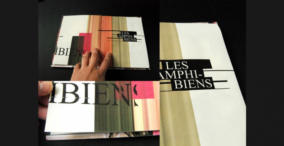 ANTOINE GELGON - PROJET PROFESSIONNEL DU BTS COMMUNICATION VISUELLE ANTOINE GELGON - PROJET PROFESSIONNEL DU BTS COMMUNICATION VISUELLE