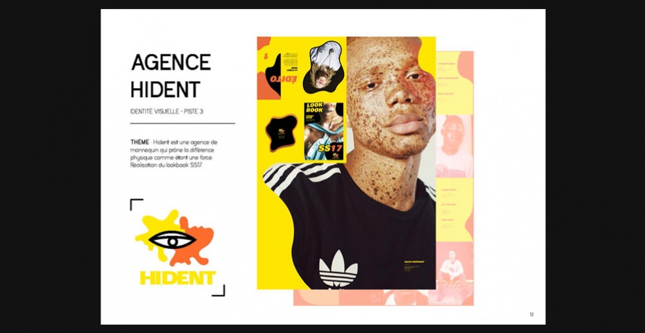 Book pro Diane Chevreau BTS Design graphique Book pro Diane Chevreau BTS Design graphique