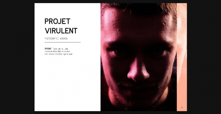 Book pro Diane Chevreau BTS Design graphique Book pro Diane Chevreau BTS Design graphique