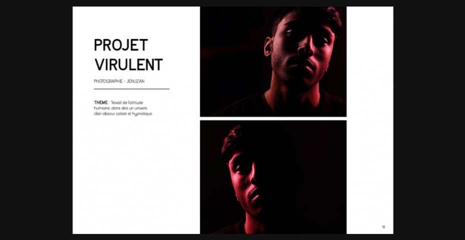 Book pro Diane Chevreau BTS Design graphique Book pro Diane Chevreau BTS Design graphique